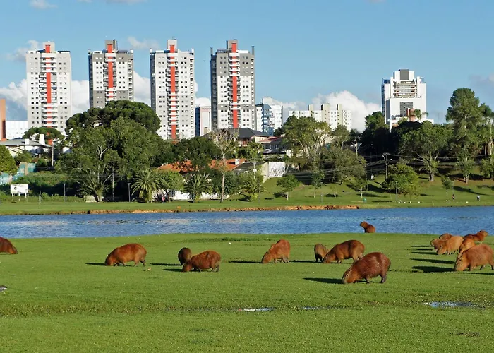 Localização excelente - Próximo parque Barigui